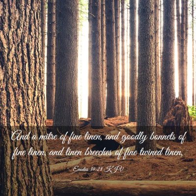 Picture 03 - Exodus 39:28 KJV - And a mitre of fine linen, and goodly bonnets of - Bible Verse Picture