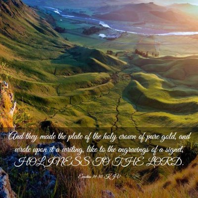 Picture 03 - Exodus 39:30 KJV - And they made the plate of the holy crown of pure - Bible Verse Picture