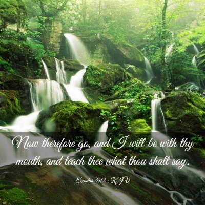 Picture 03 - Exodus 4:12 KJV - Now therefore go, and I will be with thy mouth, - Bible Verse Picture