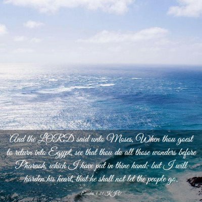 Picture 03 - Exodus 4:21 KJV - And the LORD said unto Moses, When thou goest to - Bible Verse Picture