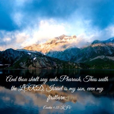 Picture 03 - Exodus 4:22 KJV - And thou shalt say unto Pharaoh, Thus saith the - Bible Verse Picture