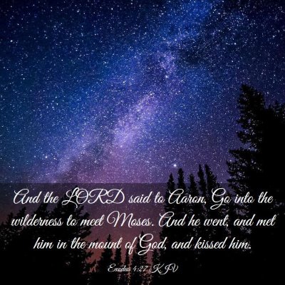 Picture 03 - Exodus 4:27 KJV - And the LORD said to Aaron, Go into the - Bible Verse Picture