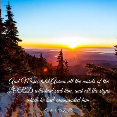 Picture 03 - Exodus 4:28 KJV - And Moses told Aaron all the words of the LORD - Bible Verse Picture