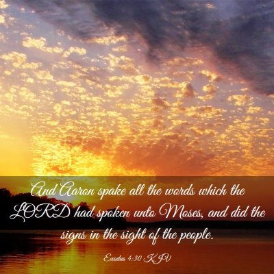 Picture 03 - Exodus 4:30 KJV - And Aaron spake all the words which the LORD had - Bible Verse Picture