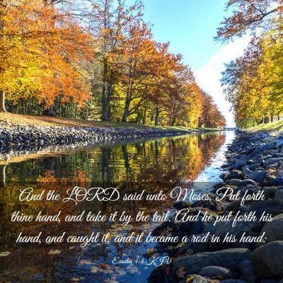 Picture 03 - Exodus 4:4 KJV - And the LORD said unto Moses, Put forth thine - Bible Verse Picture
