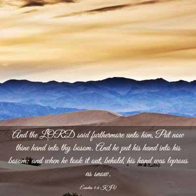 Picture 03 - Exodus 4:6 KJV - And the LORD said furthermore unto him, Put now - Bible Verse Picture