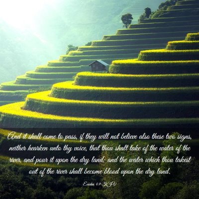 Picture 03 - Exodus 4:9 KJV - And it shall come to pass, if they will not - Bible Verse Picture