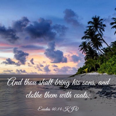 Picture 03 - Exodus 40:14 KJV - And thou shalt bring his sons, and clothe them - Bible Verse Picture