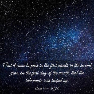 Picture 03 - Exodus 40:17 KJV - And it came to pass in the first month in the - Bible Verse Picture