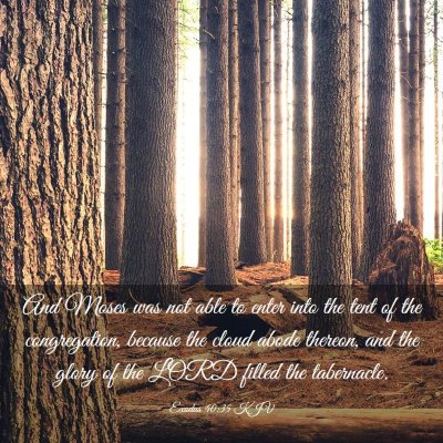 Picture 03 - Exodus 40:35 KJV - And Moses was not able to enter into the tent of - Bible Verse Picture