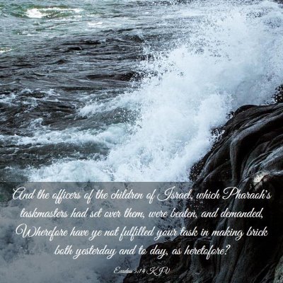 Picture 03 - Exodus 5:14 KJV - And the officers of the children of Israel, which - Bible Verse Picture