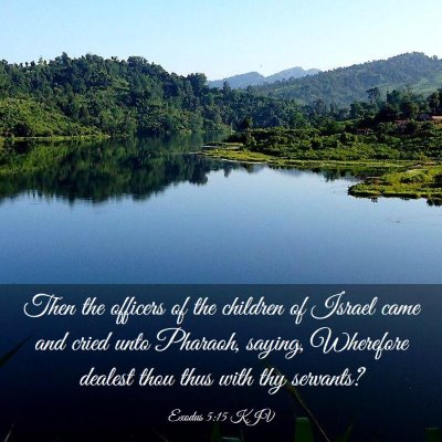Picture 03 - Exodus 5:15 KJV - Then the officers of the children of Israel came - Bible Verse Picture