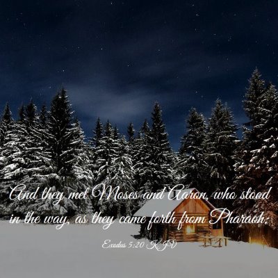Picture 03 - Exodus 5:20 KJV - And they met Moses and Aaron, who stood in the - Bible Verse Picture