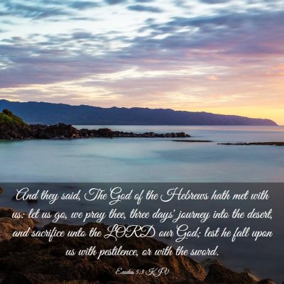 Picture 03 - Exodus 5:3 KJV - And they said, The God of the Hebrews hath met - Bible Verse Picture
