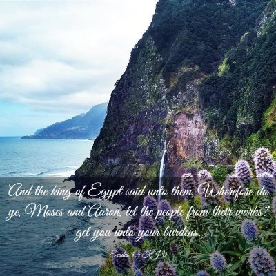 Picture 03 - Exodus 5:4 KJV - And the king of Egypt said unto them, Wherefore - Bible Verse Picture