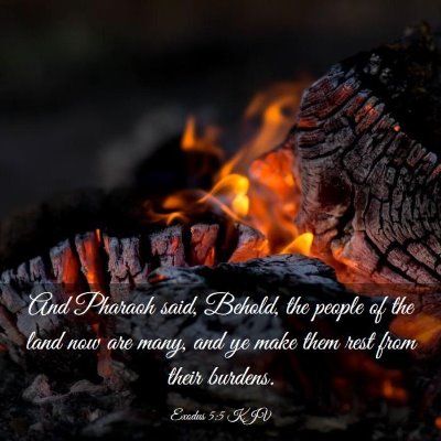 Picture 03 - Exodus 5:5 KJV - And Pharaoh said, Behold, the people of the land - Bible Verse Picture