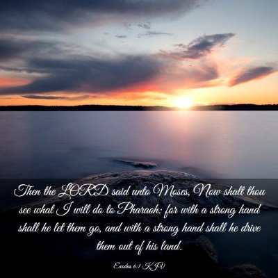 Picture 03 - Exodus 6:1 KJV - Then the LORD said unto Moses, Now shalt thou see - Bible Verse Picture