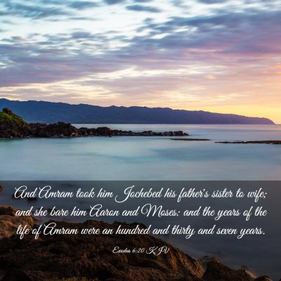 Picture 03 - Exodus 6:20 KJV - And Amram took him Jochebed his father's sister - Bible Verse Picture