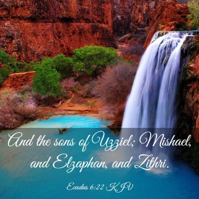 Picture 03 - Exodus 6:22 KJV - And the sons of Uzziel; Mishael, and Elzaphan, - Bible Verse Picture