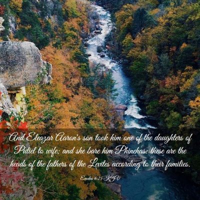 Picture 03 - Exodus 6:25 KJV - And Eleazar Aaron's son took him one of the - Bible Verse Picture