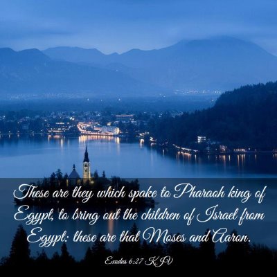 Picture 03 - Exodus 6:27 KJV - These are they which spake to Pharaoh king of - Bible Verse Picture