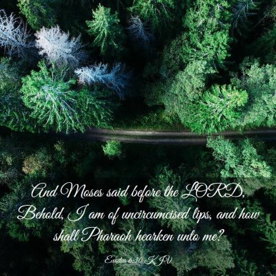 Picture 03 - Exodus 6:30 KJV - And Moses said before the LORD, Behold, I am of - Bible Verse Picture