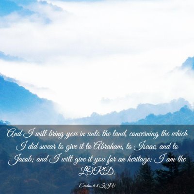 Picture 03 - Exodus 6:8 KJV - And I will bring you in unto the land, concerning - Bible Verse Picture