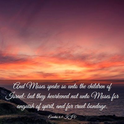 Picture 03 - Exodus 6:9 KJV - And Moses spake so unto the children of Israel: - Bible Verse Picture