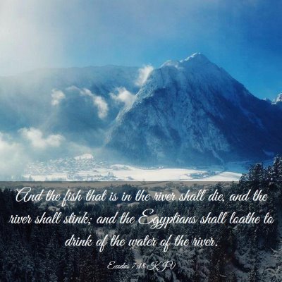 Picture 03 - Exodus 7:18 KJV - And the fish that is in the river shall die, and - Bible Verse Picture