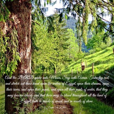 Picture 03 - Exodus 7:19 KJV - And the LORD spake unto Moses, Say unto Aaron, - Bible Verse Picture