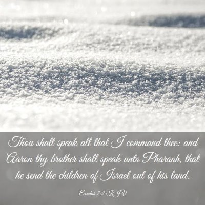 Picture 03 - Exodus 7:2 KJV - Thou shalt speak all that I command thee: and - Bible Verse Picture