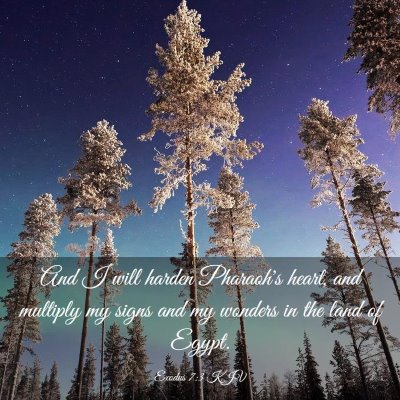 Picture 03 - Exodus 7:3 KJV - And I will harden Pharaoh's heart, and multiply - Bible Verse Picture