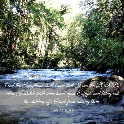 Picture 03 - Exodus 7:5 KJV - And the Egyptians shall know that I am the LORD, - Bible Verse Picture