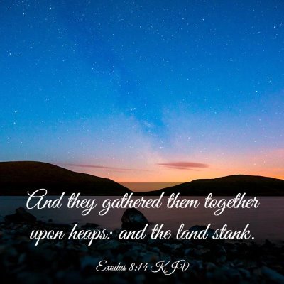 Picture 03 - Exodus 8:14 KJV - And they gathered them together upon heaps: and - Bible Verse Picture