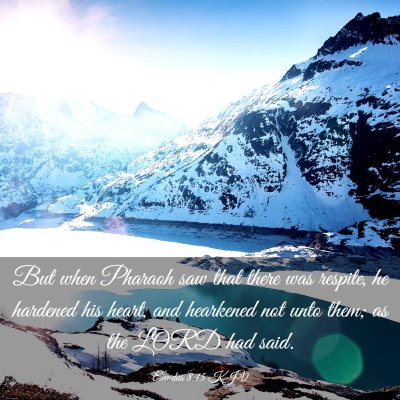 Picture 03 - Exodus 8:15 KJV - But when Pharaoh saw that there was respite, he - Bible Verse Picture