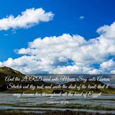 Picture 03 - Exodus 8:16 KJV - And the LORD said unto Moses, Say unto Aaron, - Bible Verse Picture