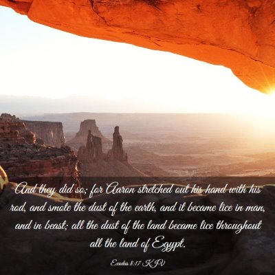 Picture 03 - Exodus 8:17 KJV - And they did so; for Aaron stretched out his hand - Bible Verse Picture