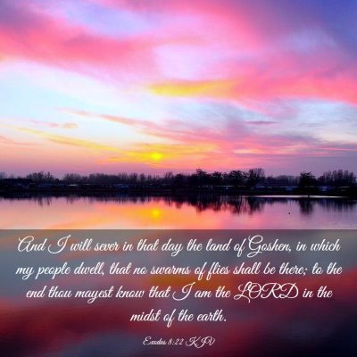 Picture 03 - Exodus 8:22 KJV - And I will sever in that day the land of Goshen, - Bible Verse Picture