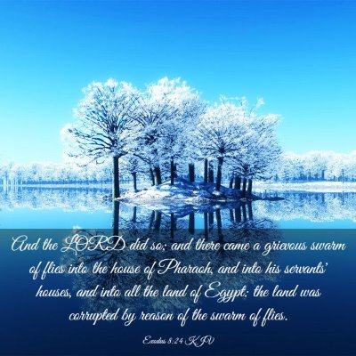 Picture 03 - Exodus 8:24 KJV - And the LORD did so; and there came a grievous - Bible Verse Picture