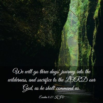 Picture 03 - Exodus 8:27 KJV - We will go three days' journey into the - Bible Verse Picture