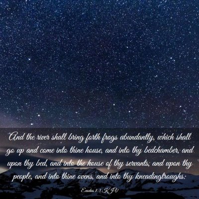 Picture 03 - Exodus 8:3 KJV - And the river shall bring forth frogs abundantly, - Bible Verse Picture
