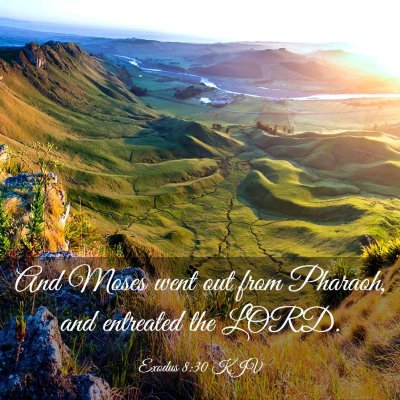 Picture 03 - Exodus 8:30 KJV - And Moses went out from Pharaoh, and entreated - Bible Verse Picture