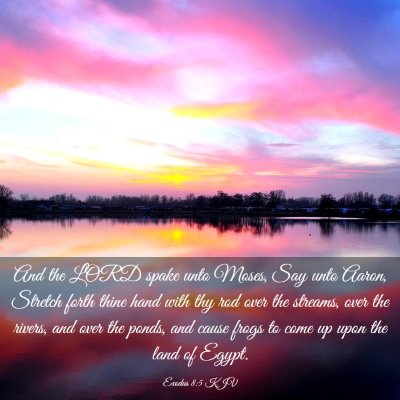 Picture 03 - Exodus 8:5 KJV - And the LORD spake unto Moses, Say unto Aaron, - Bible Verse Picture