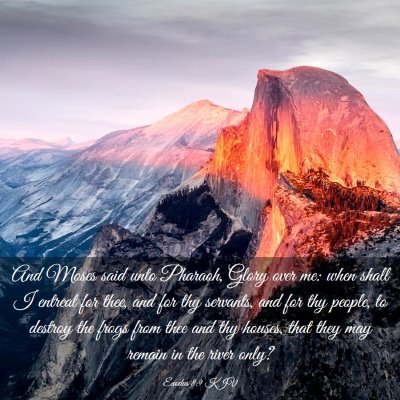 Picture 03 - Exodus 8:9 KJV - And Moses said unto Pharaoh, Glory over me: when - Bible Verse Picture