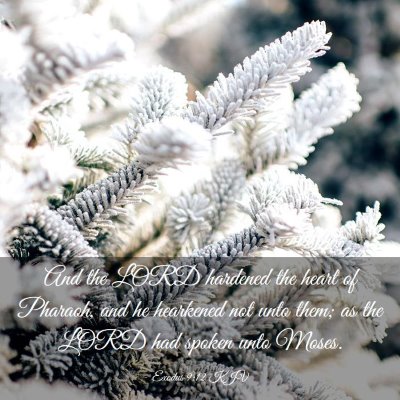 Picture 03 - Exodus 9:12 KJV - And the LORD hardened the heart of Pharaoh, and - Bible Verse Picture