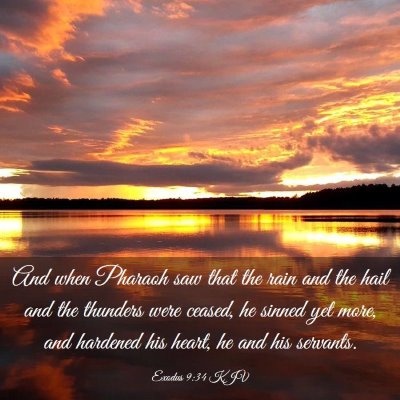 Picture 03 - Exodus 9:34 KJV - And when Pharaoh saw that the rain and the hail - Bible Verse Picture