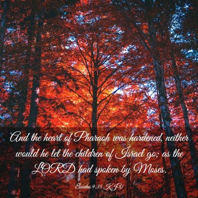 Picture 03 - Exodus 9:35 KJV - And the heart of Pharaoh was hardened, neither - Bible Verse Picture