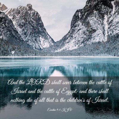 Picture 03 - Exodus 9:4 KJV - And the LORD shall sever between the cattle of - Bible Verse Picture