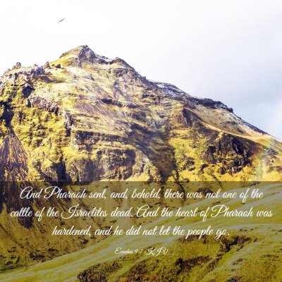 Picture 03 - Exodus 9:7 KJV - And Pharaoh sent, and, behold, there was not one - Bible Verse Picture