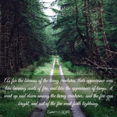 Picture 03 - Ezekiel 1:13 KJV - As for the likeness of the living creatures, - Bible Verse Picture